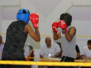 Al-Qunfudhah University College Organizes the Third Boxing Championship